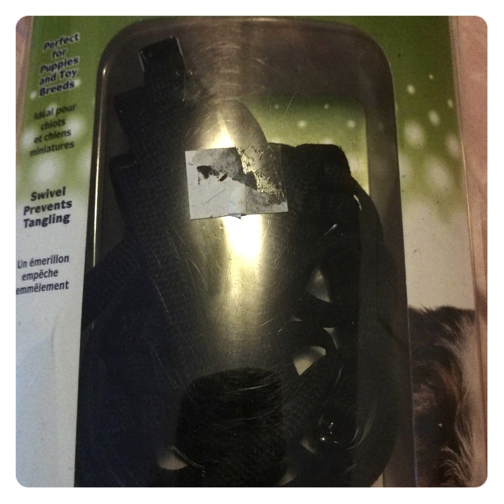 Dog - Training leash Product